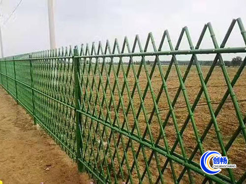 �����o��